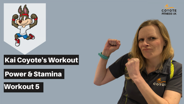 Read more about the article Power and Stamina Workout 5